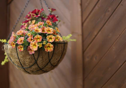 ggva spring hanging basket